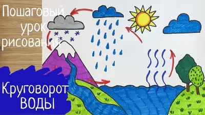 Опиши круговорот воды в природе.(как происходит) - Школьные Знания.com