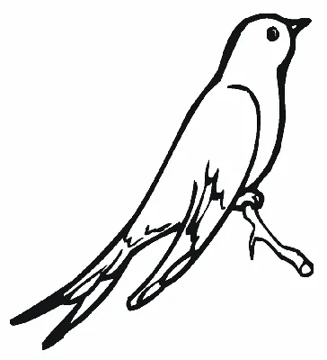 Swallow Bird Grobbelaars Раскраски Ритуальные услуги для детей, птица,  животные, певчая птица png | PNGEgg