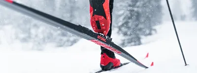 Лыжи детские Быстрики (лыжи+креп.+палки) голубые купить с доставкой в  интернет-магазине Спортик