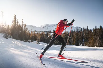 11 лучших горных лыж для экспертного трассового катания — Блог  «Спорт-Марафон»