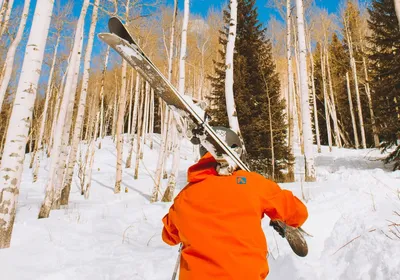 Какой вид спорта лучше подойдет новичкам — сноуборд или горные лыжи -  Газета.Ru