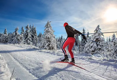 Как выбрать лыжи для фитнеса: советы для начинающих | SIMA-LAND.RU