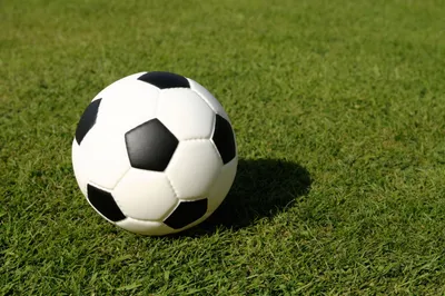 Футбольный мяч Adidas UCL LGE PS 4 арт.GT7788 (размер № 4, Белый,  Мультиколор) в Москве и Санкт-Петербурге. Доставка по всей России.