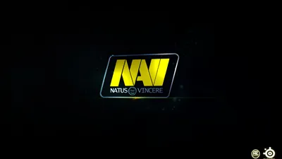 Download wallpaper navi, natus vincere, NA'VI, NAVI, section games in  resolution 1366x768