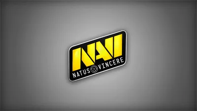 Руководители NaVi подвели промежуточные итоги проекта NaVi Junior в CS:GO |  ProCyber.me
