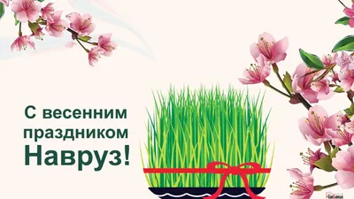 Alisher Mirsadikov on X: \"Navruz bayrami muborak bosin. #NavrUz #navruz  #21mart #uzbekistan https://t.co/ojEhAfQMcI\" / X