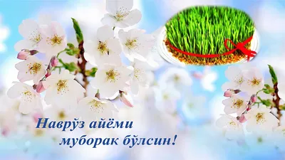 Красиво с Праздником Новруз Байрам🌹Праздник Навруз Новруз Navruz  ayyomin... | Праздник, Открытки, Цитаты
