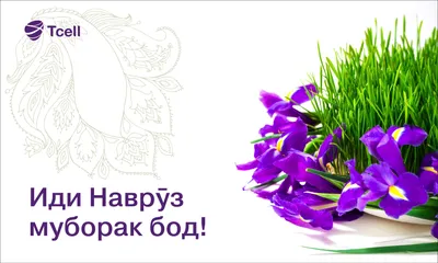 Компания SUVAN поздравляет всех с праздником Навруз!