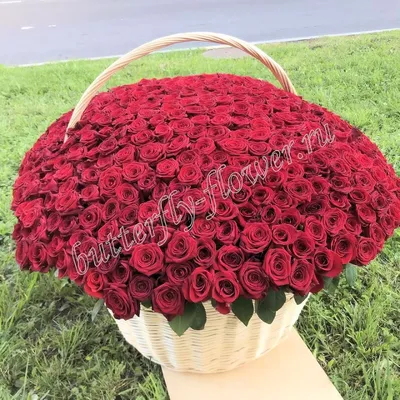 Купить Большой букет роз Ереван | UFL