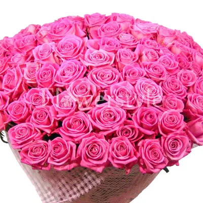 Огромный букет роз 201 штука - купить в Киеве, Одессе, Харькове с доставкой  на дом по низкой цене: THEGift