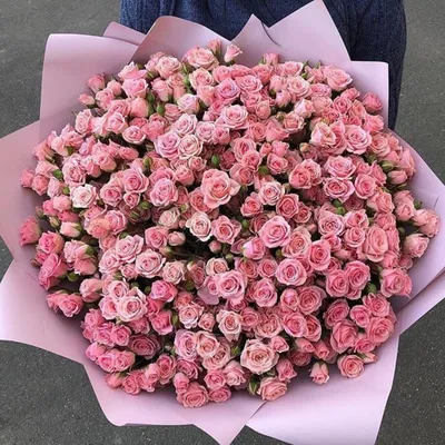 Купить 201 розу - огромный букет с доставкой по городу Днепр от  royal-flowers.dp.ua