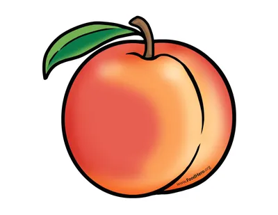 Картинка персик для детей обои