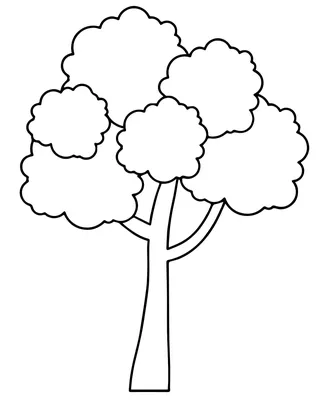 Картинка дерево. Раскраска