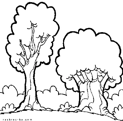 Раскраска Дерево без листьев картинка в формате А4 для детей | RaskraskA4.ru