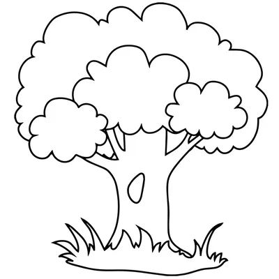 Раскраска Дерево | Раскраски для малышей. Простые раскраски.