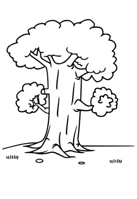 Раскраски Деревья без листьев | Искусство работы с деревом, Раскраски,  Трафарет листа