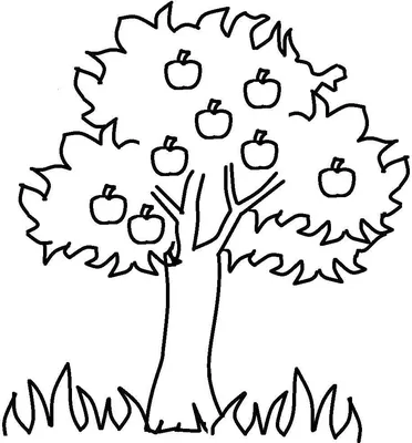 Раскраска Дерево для детей высокого качества скачать и распечатать