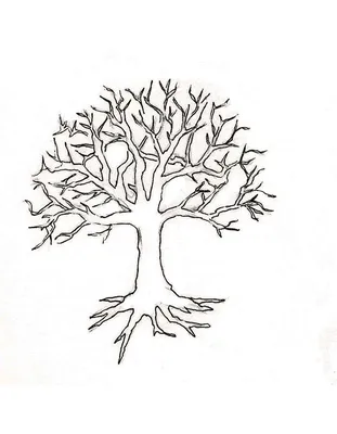 Раскраска дерево без листьев скачать и распечатать