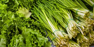 Все о пользе свежей зелени | Проект Роспотребнадзора «Здоровое питание»