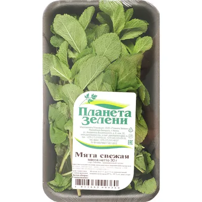 6 видов листовой зелени, которые стоит есть каждый день — Ferra.ru