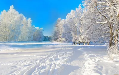 Картинка зимней природы обои