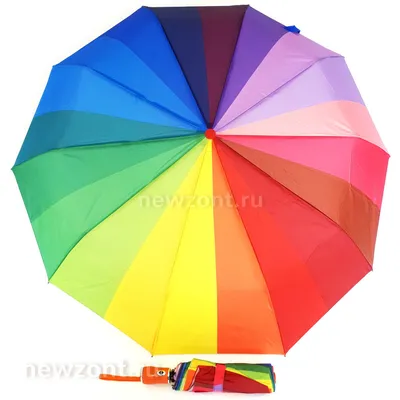 Купить Мицелий Гриба-зонтика белого | Споры Зонтика полевого
