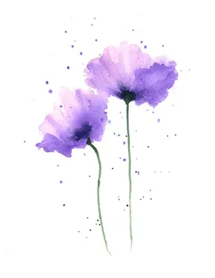 простые цветы акварелью: 59 тис. зображень знайдено в Яндекс.Зображеннях |  Watercolor flowers, Floral watercolor, Flower art