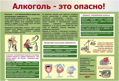 Вред алкоголя - медицинский плакат | Купить медицинский образовательный  плакат о вреде алкоголя