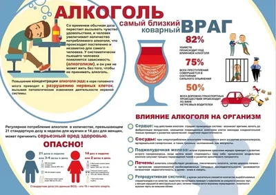 Алкоголь и его влияние на здоровье человек - ФЗОЖ - Берестовицкий районный  центр гигиены и эпидемиологии