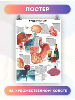 Вред алкоголя доклад по биологии | Упражнения и задачи Биология | Docsity