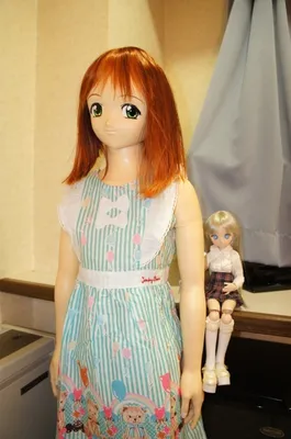 Шарнирные куклы (BJD) фигурки из Японии - Аниме дискаунтер J-Markets.