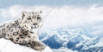 Ирбис, или снежный барс 11 см Panthera uncia — фигурка-игрушка дикого  животного 50160 Papo | Купить, цена, отзывы, в интернет-магазине Новая  Фантазия FantasiaNew.ru