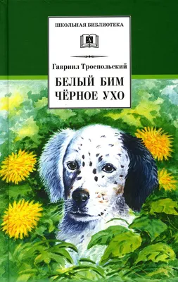 Лесси была мальчиком, Белый Бим умер в приюте. 10 историй об  актерах-животных - Газета.Ru