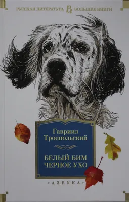 Книга Белый Бим Черное ухо Троепольский Г. - купить с доставкой на дом в  СберМаркет