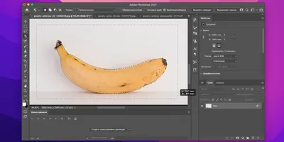 Как удалить фон с фотографии: инструкция по вырезанию фона с помощью  Photoshop и других программ