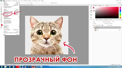 4 способа убрать фон в Photoshop | Статьи | Фото, видео, оптика | Фотосклад  Эксперт