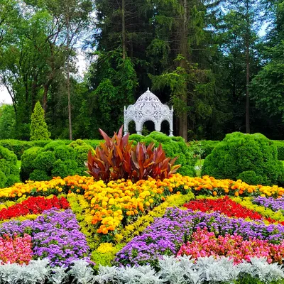 Ботаническому саду Пермского университета исполнилось 100 лет