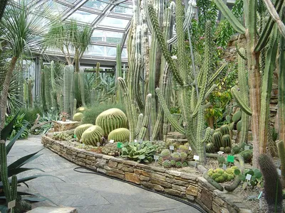 Обзорная экскурсия по Ботаническому саду | Центральный ботанический сад