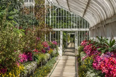 В сети появились фотографии Центрального ботанического сада после  реконструкции и ремонта - ФОТО