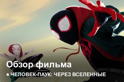 No Expectations. Человек-паук: Через вселенные (Spider-Man: Into the  Spider-Verse).Авторские заметки