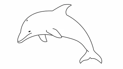 Дельфин для срисовки - 58 фото
