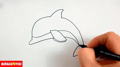 How to draw Dolphin simple and fast ✓ - YouTube