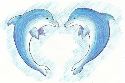 Рисунки для срисовки дельфины легкие - 42 фото