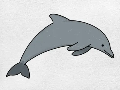дельфин 3d реалистичный рисунок синего животного на белом изолированном  фоне Иллюстрация вектора - иллюстрации насчитывающей морск, рыбы: 275422612