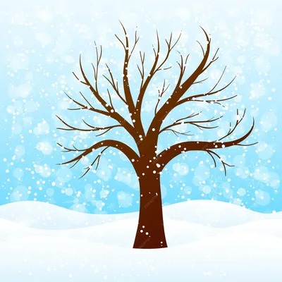 Деревья зимой - 61 фото