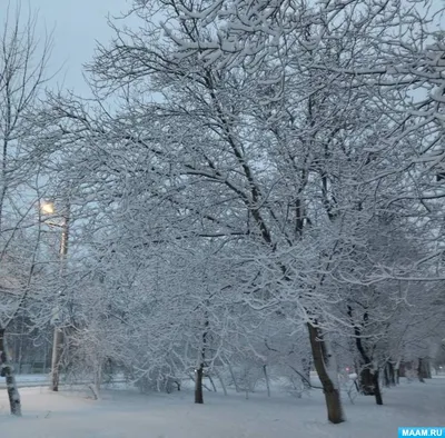 Зима. Заснеженные деревья - Zartschool - школа живописи Татьяны Зубовой