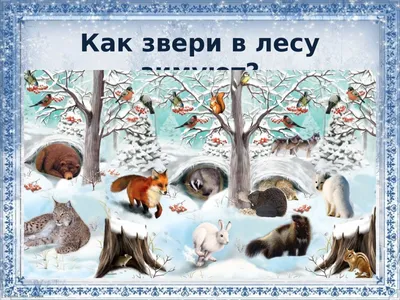 Картинки диких животных зимой обои