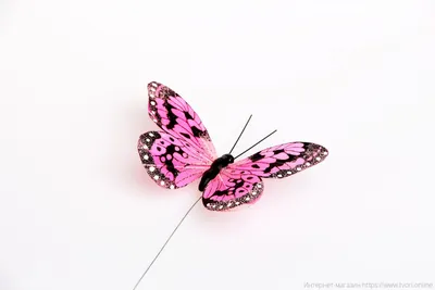 Наклейки Crafty Цветы и Бабочки,21 gab - МНОГОКНИГ.lv - Книжный  интернет-магазин