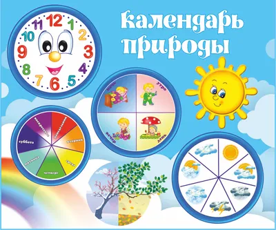 Купить календарь природы «круглый год» стенд в Москве не дорого с  доставкой. Интернет магазин \"Конструкторы Детям\"