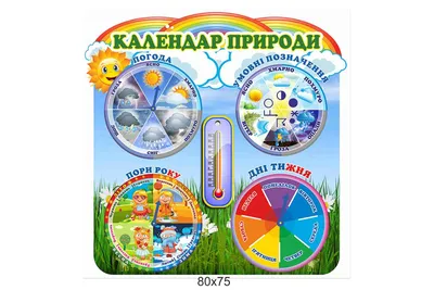 Стенд Календарь природы для детского сада - dou-shkola.ru | Детский  календарь, Детский сад, Школьные украшения